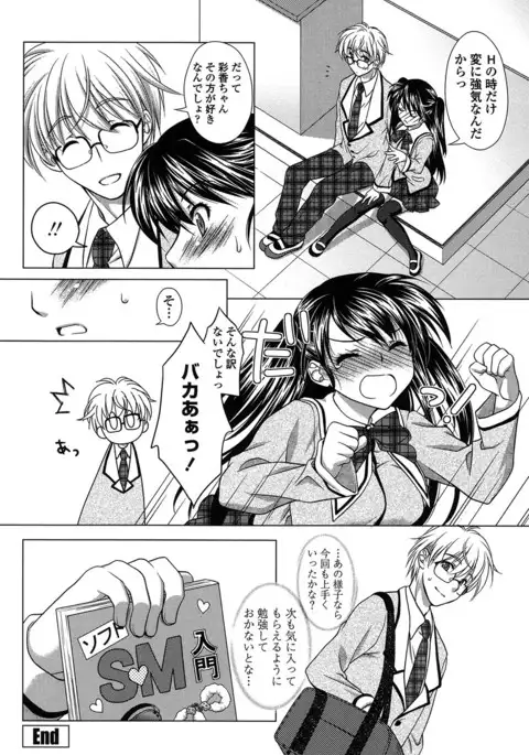 Seiso de Midarana Kanojo