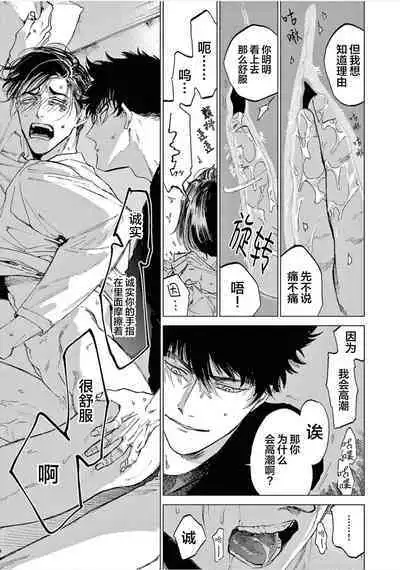 TOKYO Hikari Auction｜东京光之拍卖会