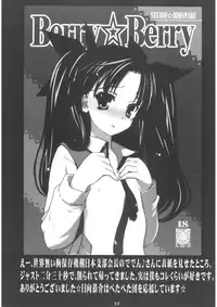 (C67) [STUDIO HIMAWARI (Himukai Kyousuke)] Berry Berry (Fate/stay night) [Chinese] [wl00314824個人漢化]