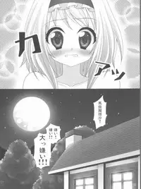 (C77) [ALMISM (ALM)] Kirai*Kirai=Suki (Touhou Project)