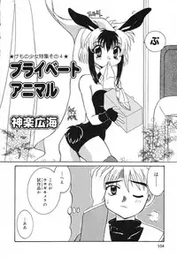 [Anthology] Pure Petit Vol. 6