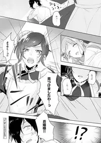 COMIC Ananga Ranga Vol. 29