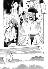 [Bijogi Junction (Bijogi Junction)] Hime Sakunyuu