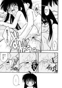 [yeahhhy tomii] Meconopsis