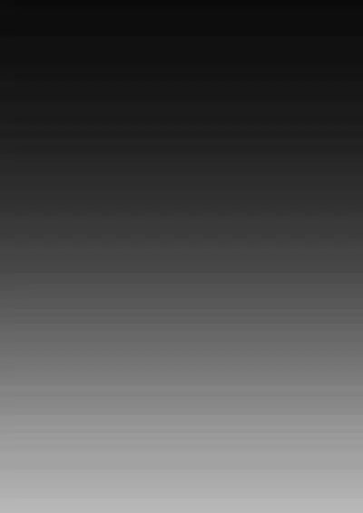 [Horumon Curry (Tobimura)] Hangyaku Onsen 2 (Girls' Frontline) [Chinese] [大受气包烤RO组汉化]