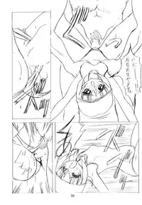 (C54) [Geiwamiwosukuu!! (Karura Syou, Tachi Tsubaki, Yuuki Tsukasa)] Ryou. (Various)