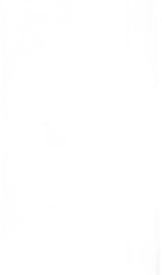 FORTUNE ARTERIAL 瑛里華編