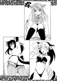 (C54) [.30-06 (Tsutsumi Akari)] CAZA MAYOR 3