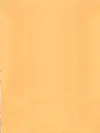 (C64) [KENIX (Ninnin)] ORANGE PIE Vol. 3 (One Piece)