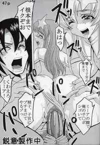 [St. Rio (Kitty, Kouenji Rei)] COSMIC BREED 5 (Gundam SEED DESTINY)