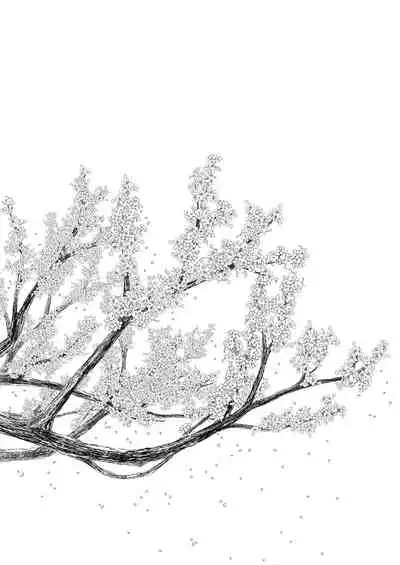 Hikari no Kimi no Saganaki Keikaku <Murasaki>