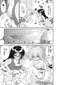 [Anthology] Pure Petit Vol. 6