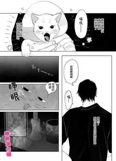 bake neko to mibōjin|猫与未亡人