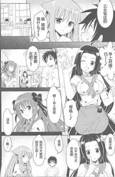 Jitsu ni Keshikaran Nyanko