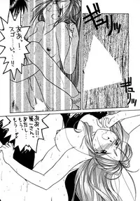 (C48) [Tenchuugumi (Tenchuunan)] IF 9 (Ah! My Goddess)