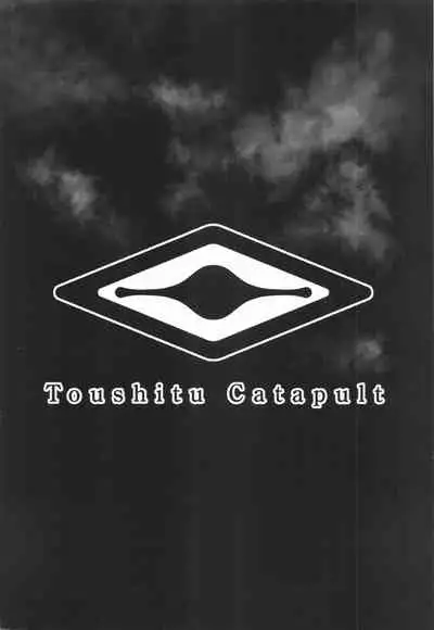 (COMIC1☆17) [Toushitu Catapult (Tadano Mezashi)] Tokubetsu Houshi Saisenkai (Touhou Project)