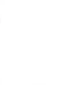 (CT18) [Hegurimurayakuba (Yamatodanuki)] Noblesse Oblige (Seiken Densetsu 3)