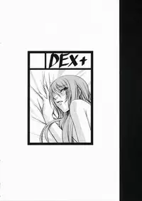 (C72) [DEX+ (Nakadera Akira)] P3 lovers (Persona 3) [Chinese] [沒有漢化]