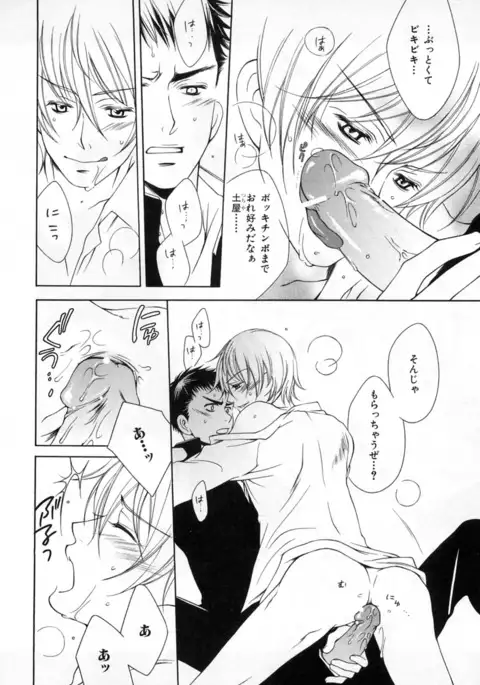 b-BOY Phoenix Vol.4 Seikantai Tokushuu