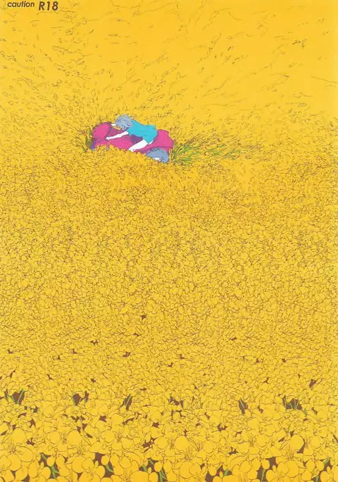 Maru de Yume o Miteiru Mitai