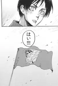 (FALL OF WALL Osaka) [Ongire (Tamy)] Ficus 2 (Shingeki no Kyojin)