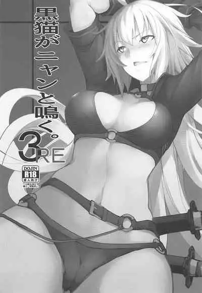 Kuroneko ga Nyan to Naku. 3RE