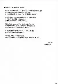 (C91) [Shirakaba Doori (DRY)] R11 (Fate/stay night)