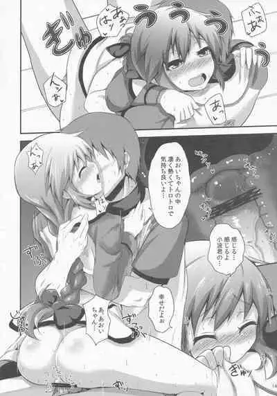 Pawaplus H 2012 Fuyu