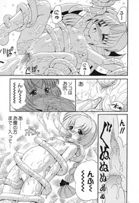 [Anthology] Pure Petit Vol. 6