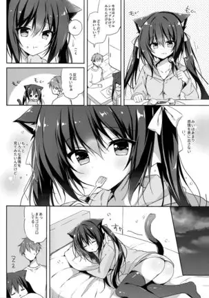 Koneko to Nyan Nyan Biyori