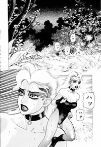 [Yamamoto Atsuji] Ammo Vol 3