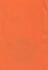 (C67) [Beat Pop (Various)] Kingin Pearl Baby (One Piece)