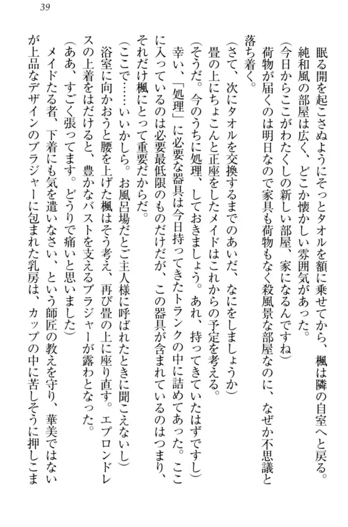 メイドやります!
