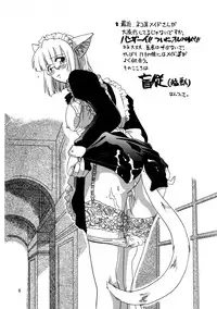 (C54) [.30-06 (Tsutsumi Akari)] CAZA MAYOR 3