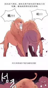 [Rozer] 我统治的世界(A World that I Rule) Ch.1-14 [Chinese]