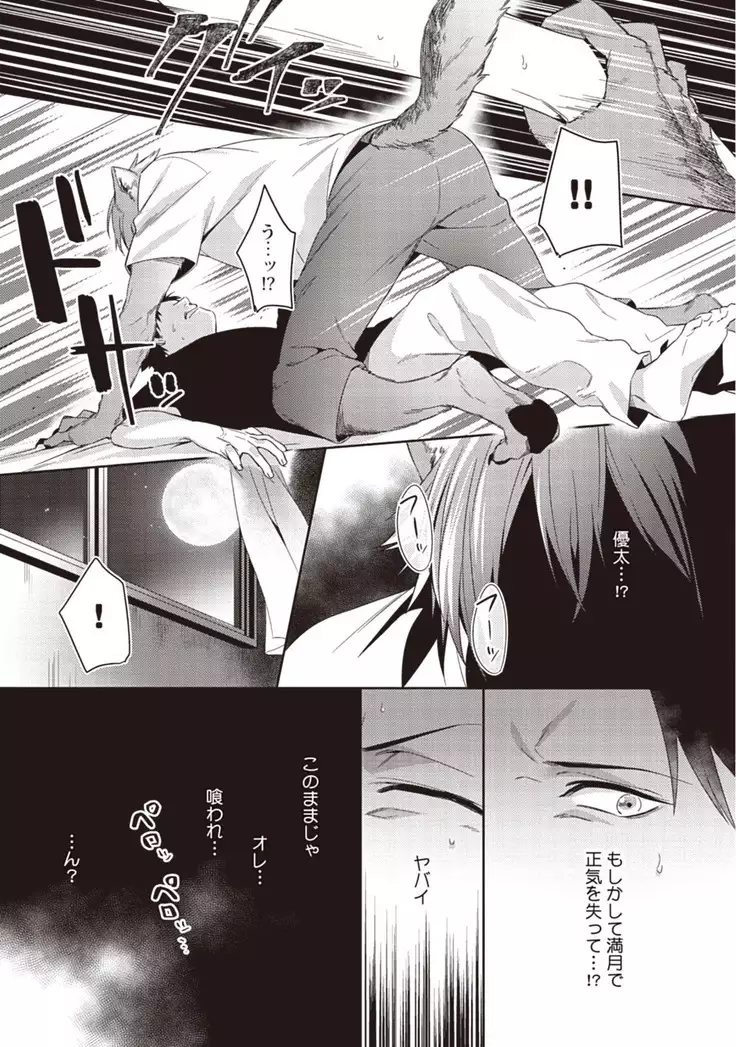 Tsukiyo wa ecchi na okubyou ookami