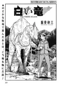 Young Champion Retsu Vol.12 (2008-05-25 Zoukangou)