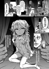 Yuukyuu no Shou Elf 2 "Shoukei"