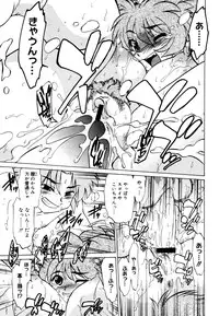 COMIC Megastore 2006-08