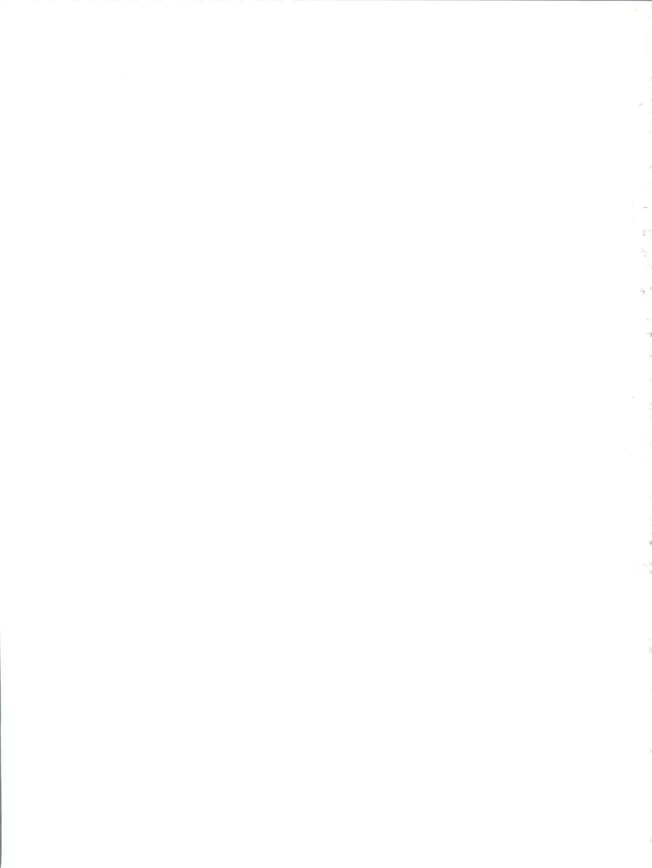 TIMTIM Machine Custom 03