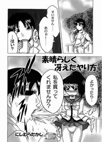 (Miyagami Gakuen no Himitsu 02) [EARTHLIGHT (Nishimura Takashi)] Izumix (Best Student Council)