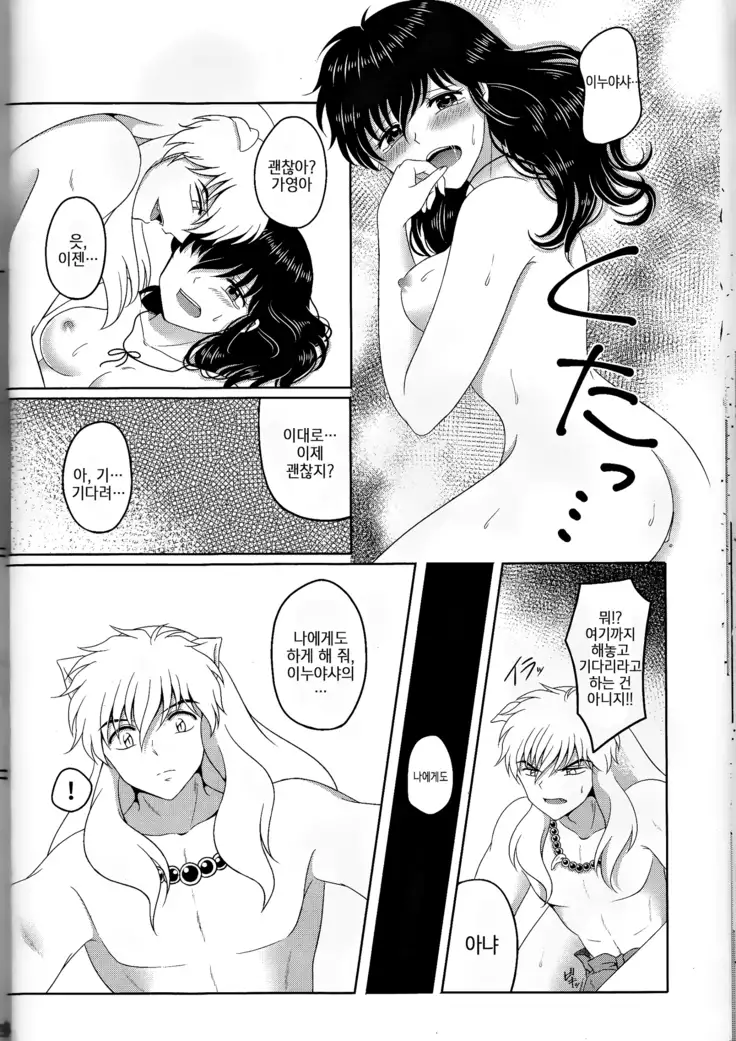 Koi Gusuri - Love drug | 사랑의 묘약