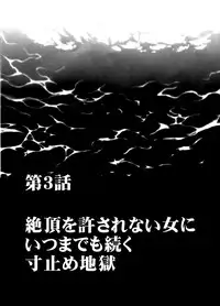 囮捜査官キョウカ3~絶頂を許されない女にいつまでも続く快楽地獄~