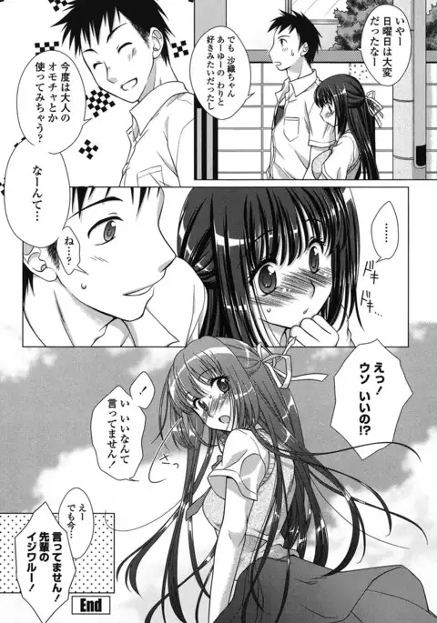 Seiso de Midarana Kanojo