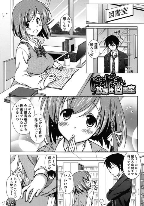 Seiso de Midarana Kanojo