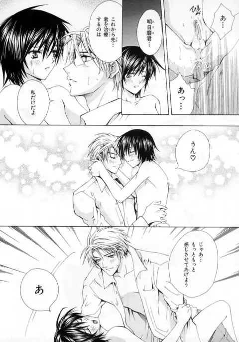 b-BOY Phoenix Vol.4 Seikantai Tokushuu