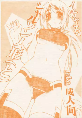 (C80) [bolze.] Icharu Charson Ningyou (to) (Infinite Stratos)