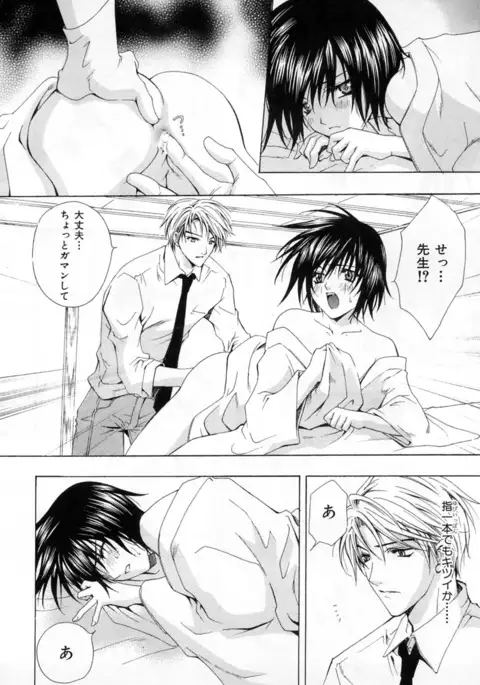 b-BOY Phoenix Vol.4 Seikantai Tokushuu