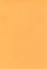 (Kouroumu 7) [Rakka Sokudo 2.5 (Pira)] Yappari Neko nano. (Touhou Project)