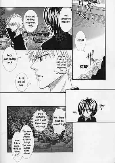 [TRANCEG (Tokugawa Miyo)] Lovers' Soul (Bleach) [English] [EHCOVE]